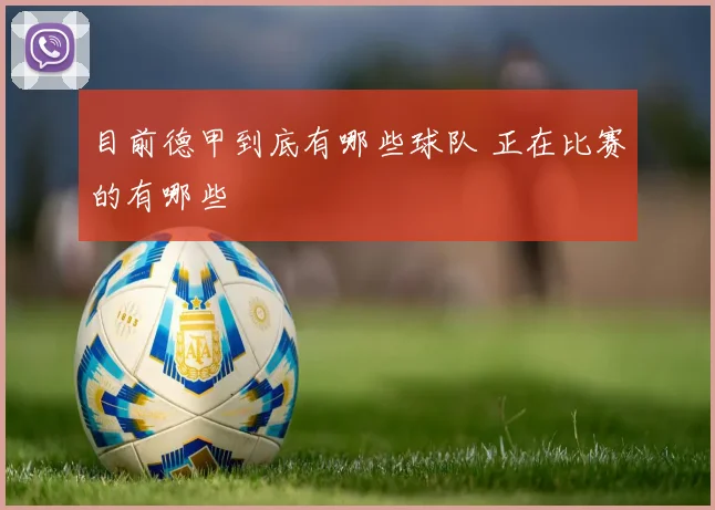 目前德甲到底有哪些球队 正在比赛的有哪些