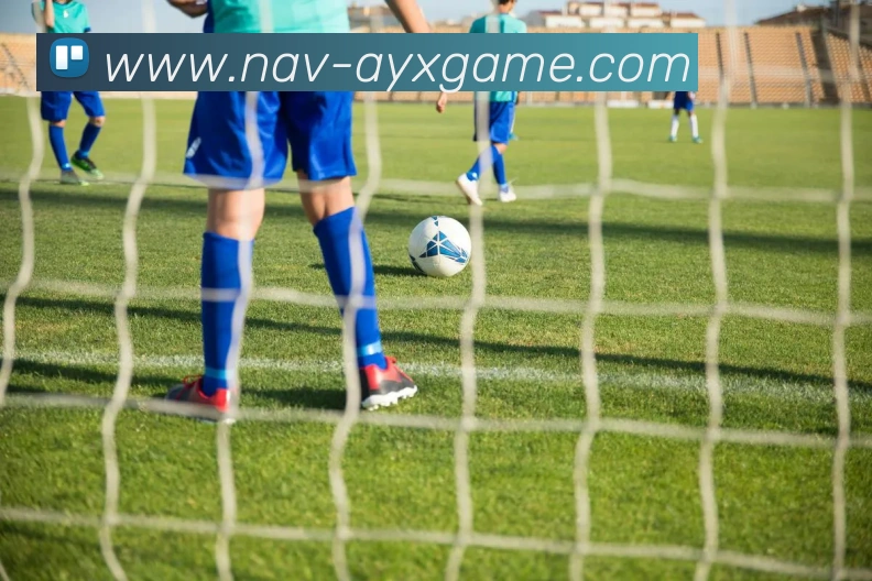 爱游戏平台生态图